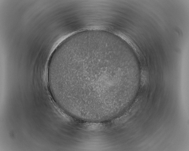 X0000112720886200909101444