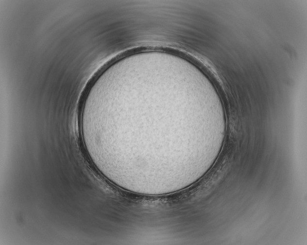 X0000112720887200909101444