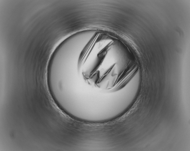 X0000112720888200909101444