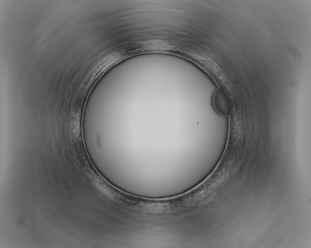 X0000112720889200909101444