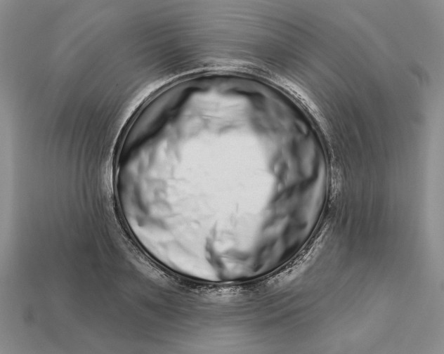 X0000112720891200909101444