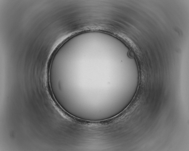 X0000112720894200909101444