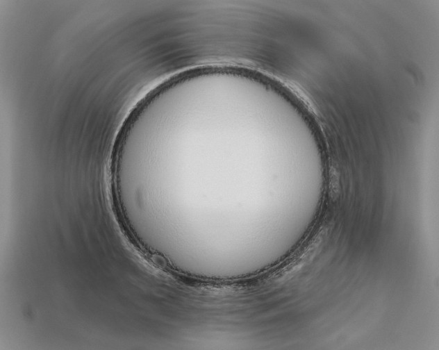 X0000112720895200909101444