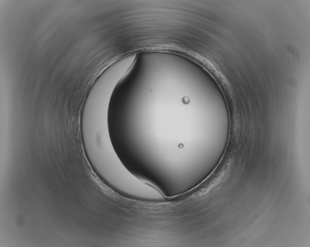 X0000112720897200909101444