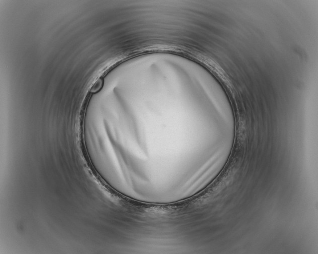 X0000112720898200909101444