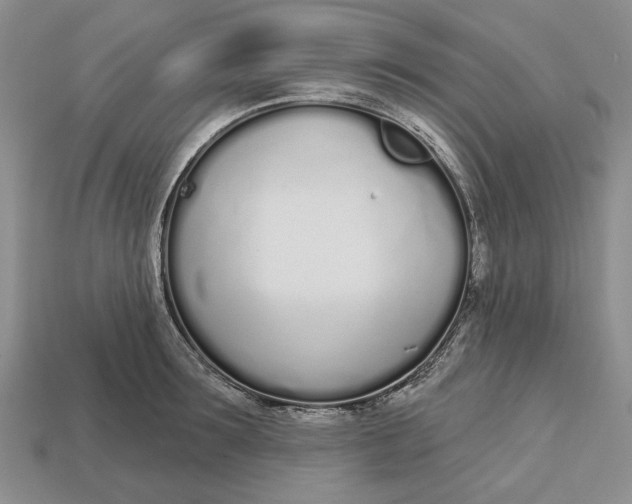 X0000112720899200909101444