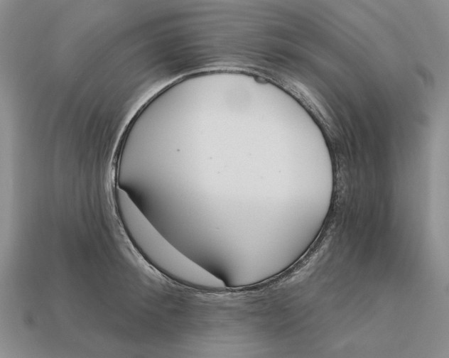 X0000112720900200909101444