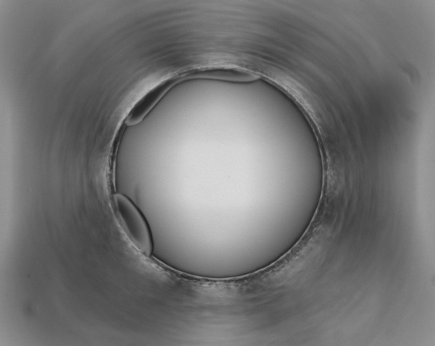 X0000112720901200909101444