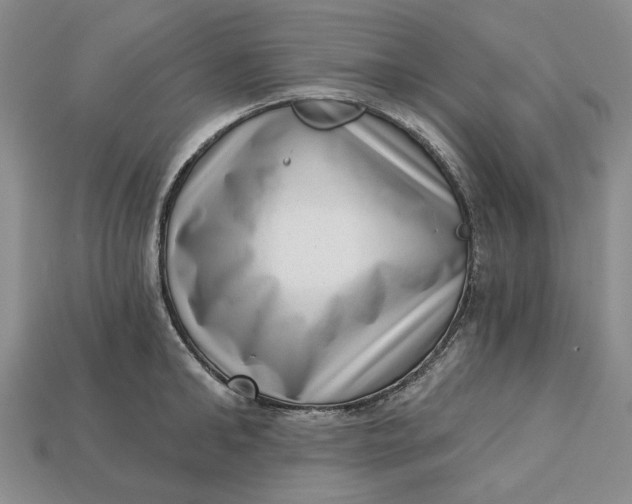 X0000112720902200909101444