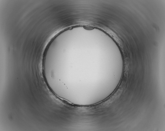 X0000112720904200909101444