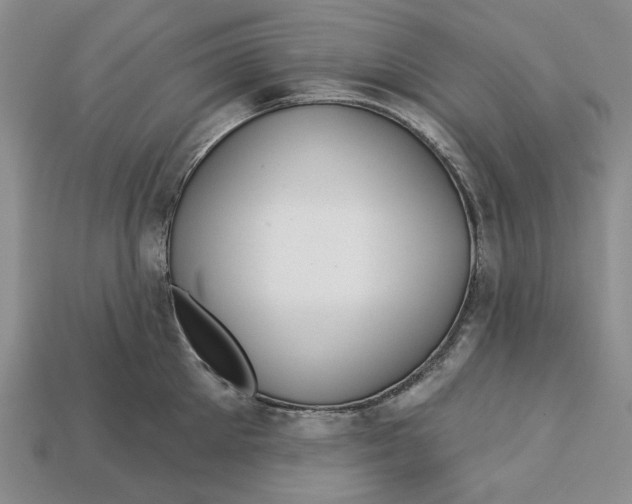 X0000112720905200909101444