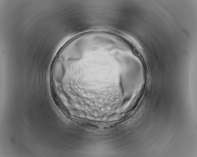 X0000112720907200909101444