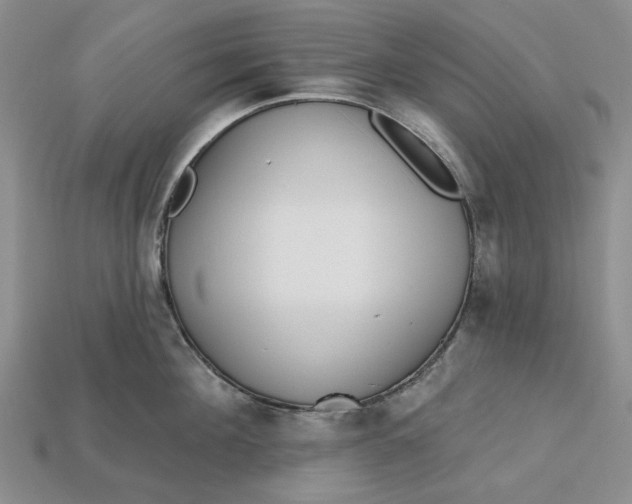 X0000112720908200909101444