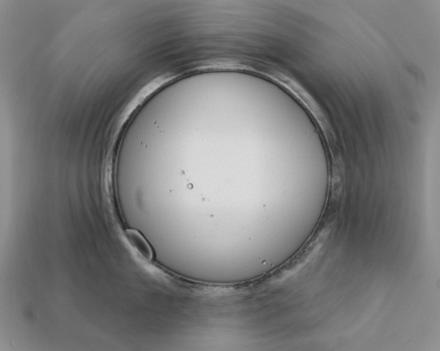 X0000112720909200909101444