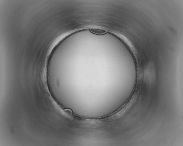 X0000112720910200909101444