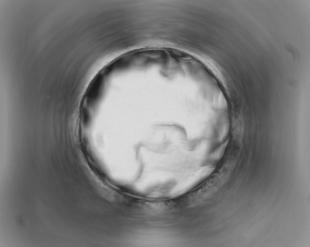 X0000112720911200909101444