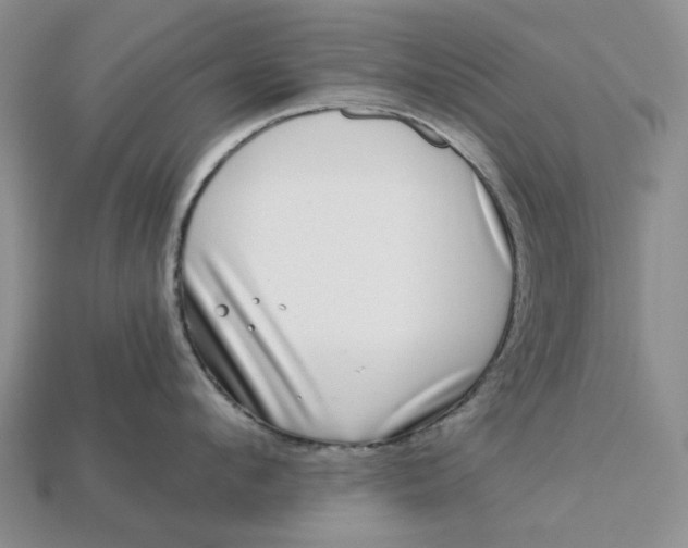 X0000112720912200909101444