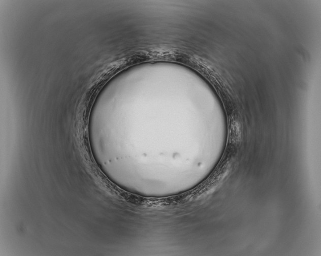 X0000112720913200909101443