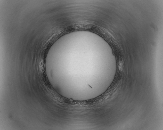 X0000112720915200909101443