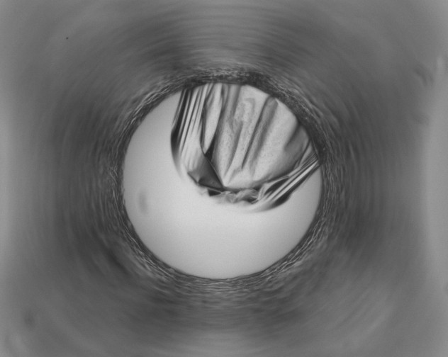 X0000112720916200909101443