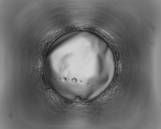 X0000112720917200909101443