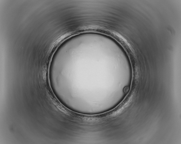 X0000112720921200909101443