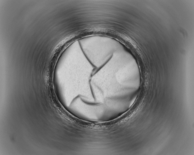 X0000112720922200909101443