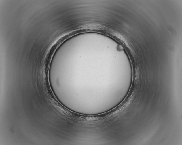 X0000112720923200909101443