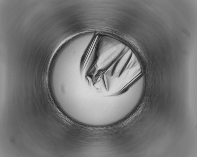 X0000112720924200909101443