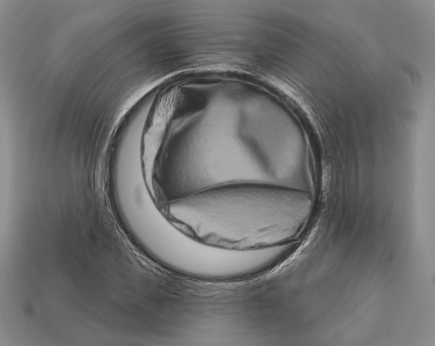 X0000112720925200909101443