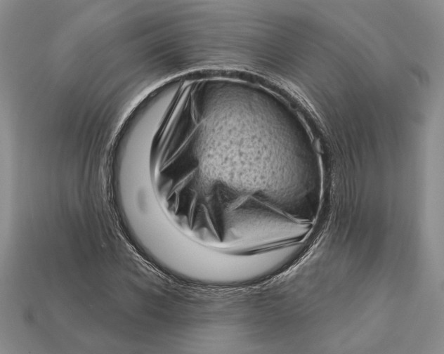 X0000112720926200909101443