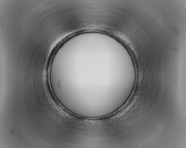 X0000112720928200909101443