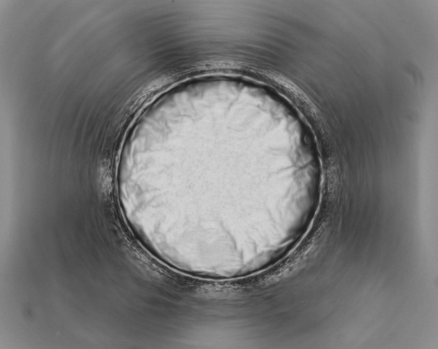 X0000112720929200909101443