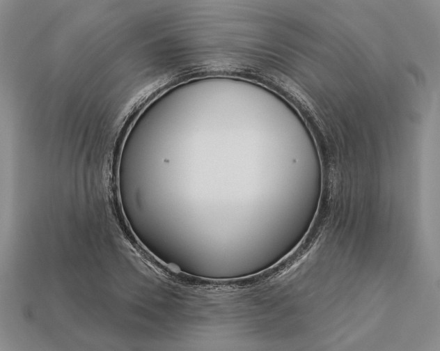 X0000112720930200909101443