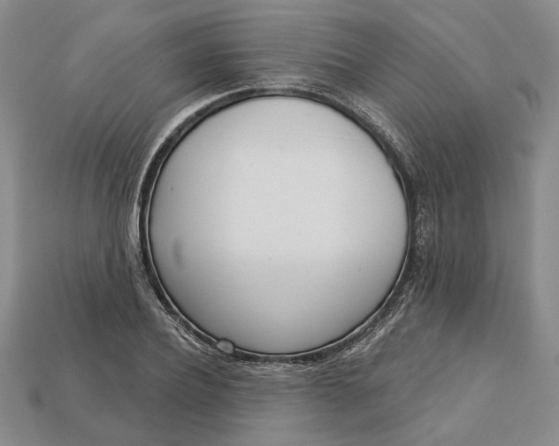 X0000112720932200909101443