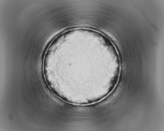 X0000112720933200909101443