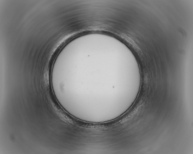 X0000112720934200909101443