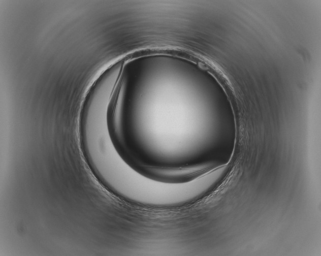 X0000112720935200909101443