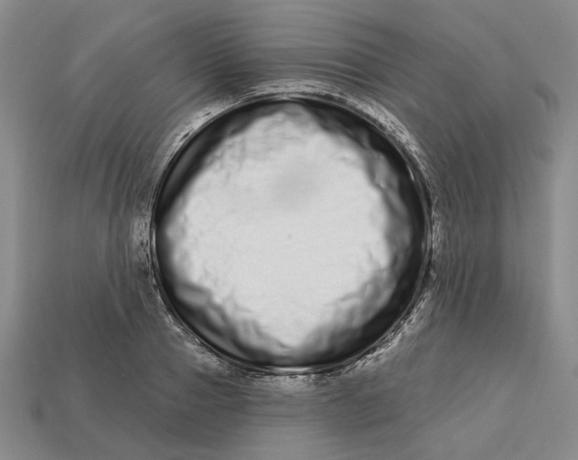 X0000112720937200909101443