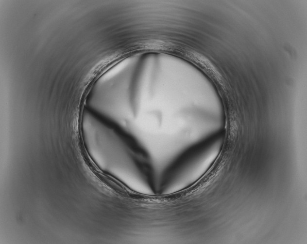 X0000112720938200909101443