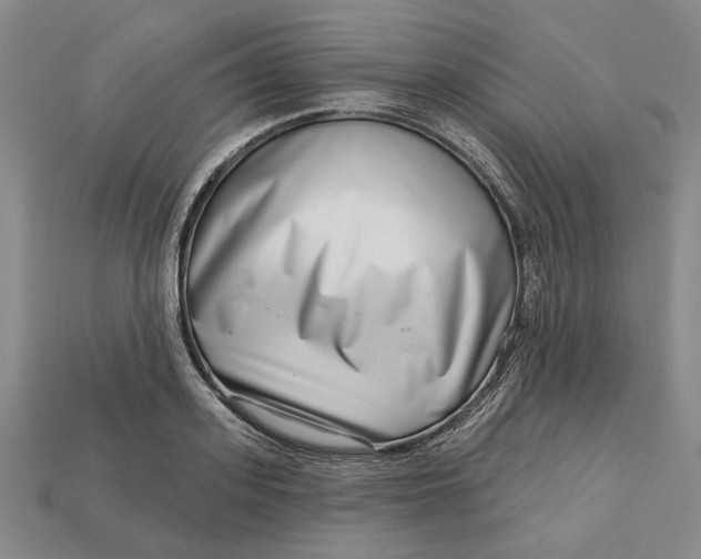 X0000112720939200909101443