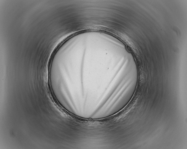 X0000112720940200909101443