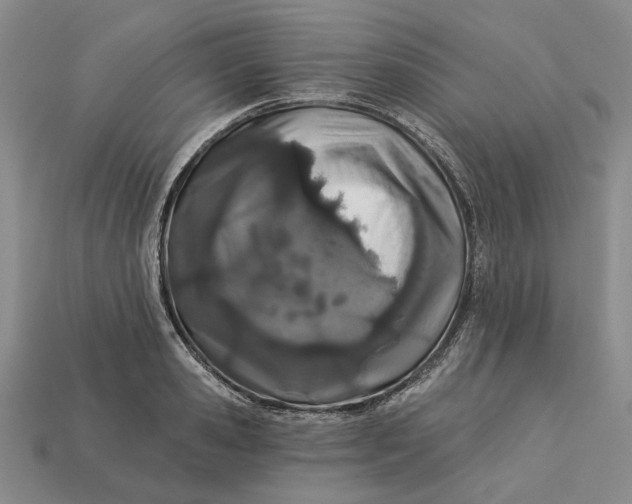 X0000112720941200909101443