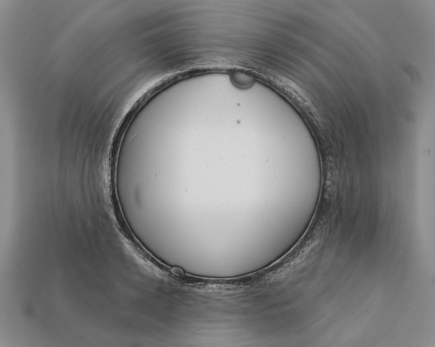 X0000112720942200909101443