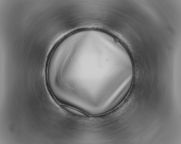 X0000112720943200909101443