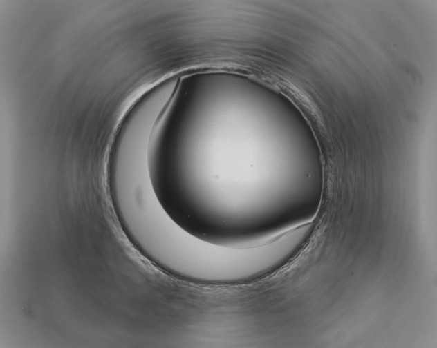 X0000112720944200909101443