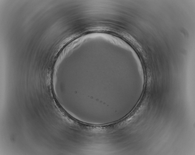 X0000112720945200909101444