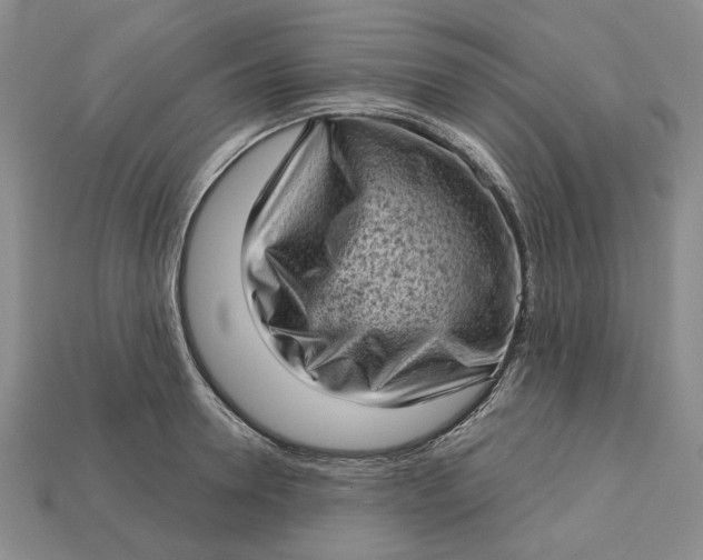 X0000112720946200909101444