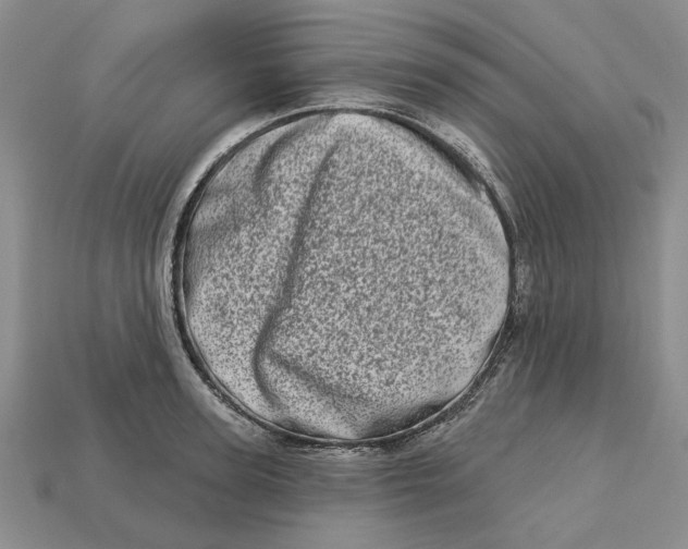 X0000112720947200909101444