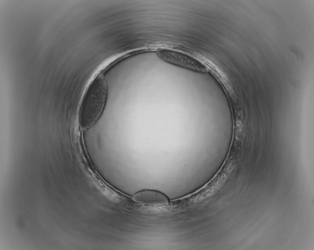 X0000112720948200909101444